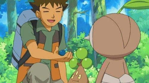 Pokémon Season 10 Episode 14 - Leave it to Brocko!