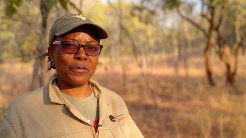 Extreme Airport Africa Season 2 Episode 4 - Flight Of The Pangolin