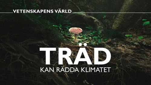 Vetenskapens värld Season 50 Episode 22 - Episode 22