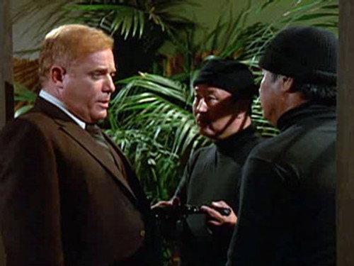 The Fall Guy Season 1 Episode 10 - License to Kill (2)