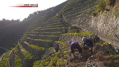 Cycle Around Japan Season 4 Episode 3 - From Sea to Mountains, Spring in Ehime