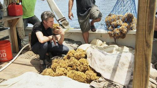 Going Deep with David Rees Season 2 Episode 8 - How to Do the Dishes