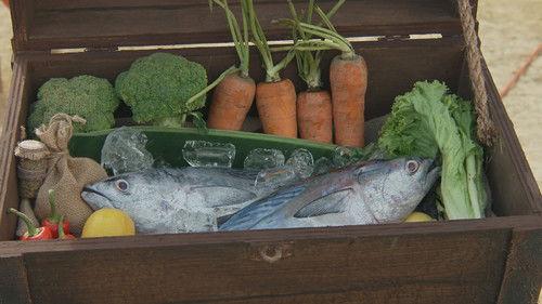 Robinson Season 28 Episode 17 - Episode 17