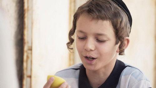 Shtisel Season 2 Episode 1 - Lemons