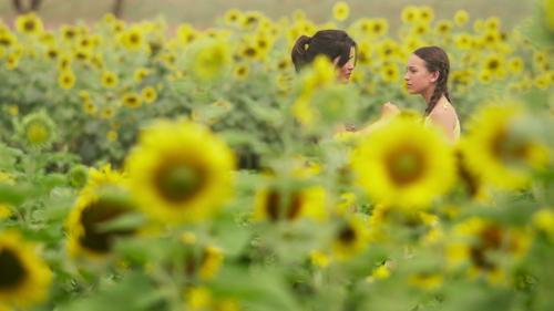 Scars of Beauty Season 1 Episode 1 - Chapter 1