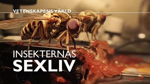 Vetenskapens värld Season 49 Episode 25 - Episode 25