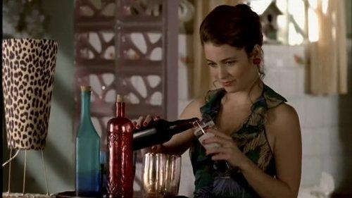 A Vida Como Ela É... Season 1 Episode 32 - Episode 32