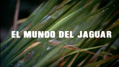 El hombre y la Tierra Season 1 Episode 8 - Episode 8