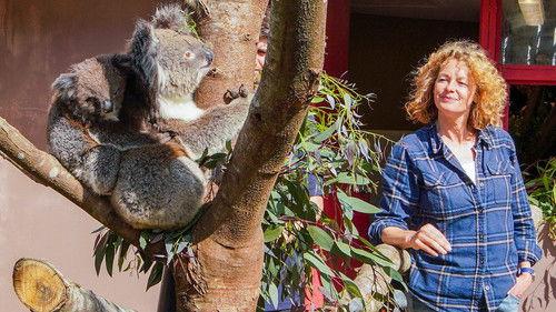 Animal Park Season 20 Episode 7 - Summer 2022: Episode 7