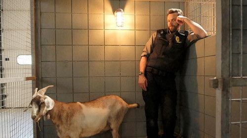 Animal Control Season 3 Episode 3 - Goats, Snakes, and Dogs