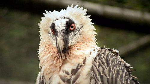 Background image for Episode 3