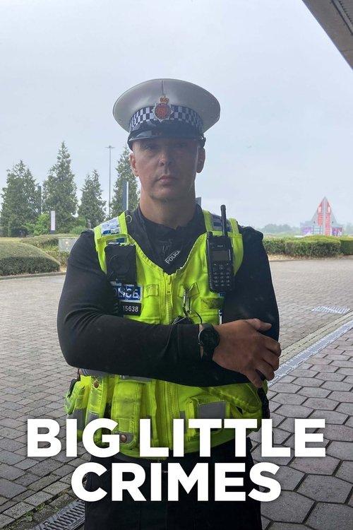 Big Little Crimes poster