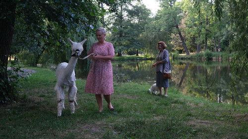 Ojciec Mateusz Season 30 Episode 7 - Episode 7