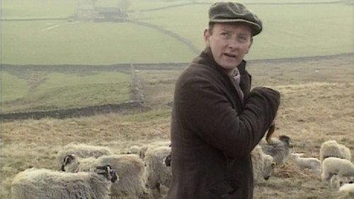 undefined Season 6 Episode 6 - Where Sheep May Safely Graze