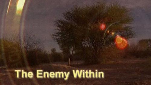 Meerkat Manor Season 2 Episode 8 - The Enemy Within
