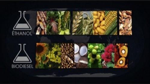 Mapping the World Season 20 Episode 16 - Episode 16