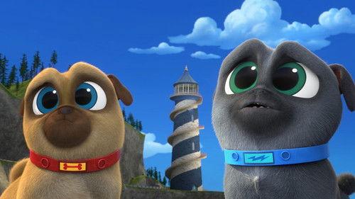 Puppy Dog Pals Season 3 Episode 11 - Bingo and Rolly's Playcare Picnic Party