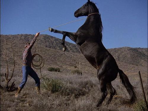 The Six Million Dollar Man Season 4 Episode 22 - The Ghostly Teletype