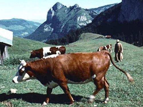 Le Village englouti Season 1 Episode 1 - Episode 1