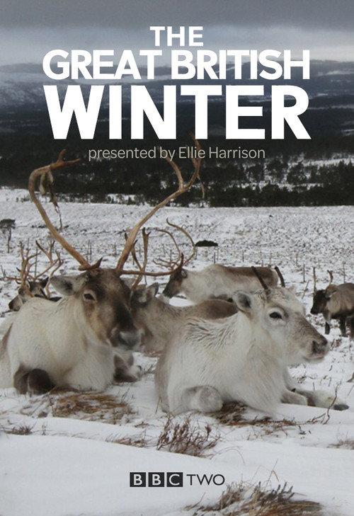 The Great British Winter poster