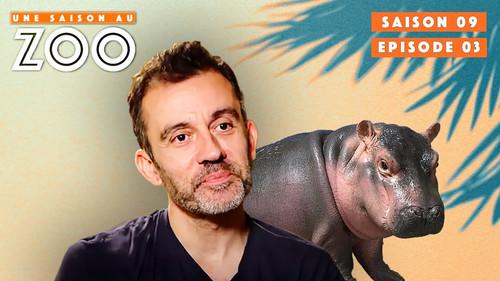 Une saison au zoo Season 9 Episode 3 - Episode 3