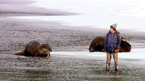 Andy's Wild Adventures Season 2 Episode 5 - Otters