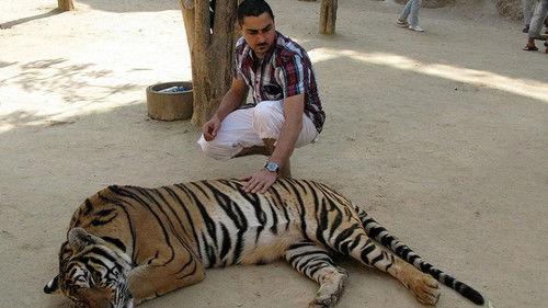 Kill Arman Season 2 Episode 5 - Episode 5