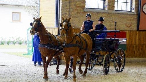 The Amazing Race Season 38 Episode 4 - What Would Houdini Do?