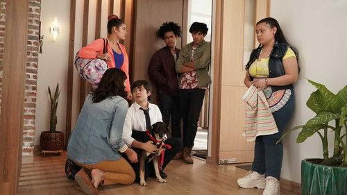 Dejémonos de Vargas Season 1 Episode 9 - Episode 9