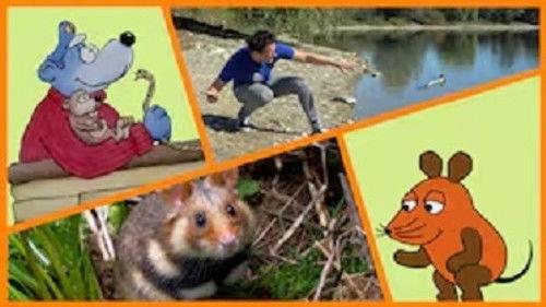 Die Sendung mit der Maus Season 54 Episode 17 - Episode 17