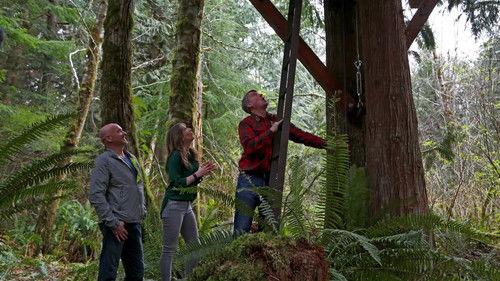 Treehouse Masters Season 7 Episode 2 - Adventure Headquarters
