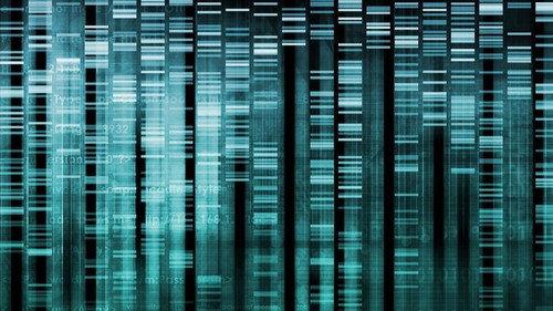 undefined Season 39 Episode 15 - Cracking Your Genetic Code