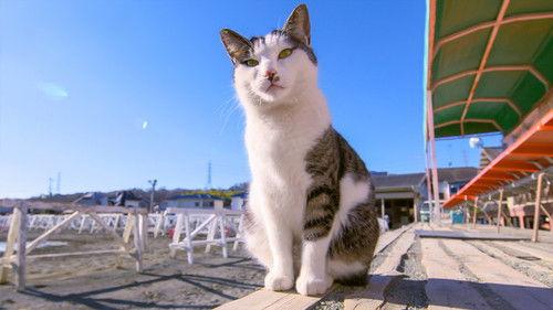 A Cat's-Eye View of Japan Season 2 Episode 13 - Tokyo: Tama for Healing
