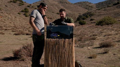 Kings of Pain Season 2 Episode 7 - Aquarium Nightmares