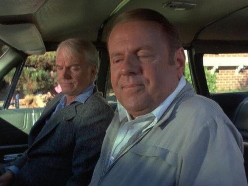 Eight Is Enough Season 3 Episode 18 - Inlaws and Outlaws