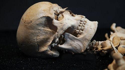 Treasures Decoded Season 4 Episode 3 - Episode 3