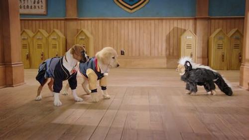 Pup Academy Season 2 Episode 4 - Skunked!