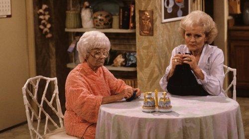 The Golden Girls Season 3 Episode 1 - Old Friends