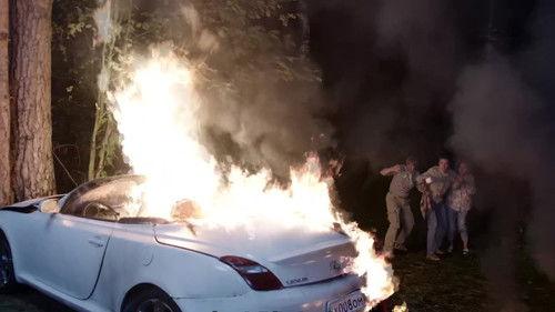 While the Fern Flowers Season 1 Episode 3 - Episode 3