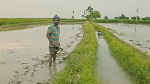 Victim Season 1 Episode 1 - Dhammam