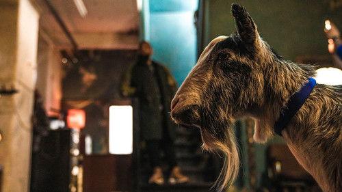 Man Like Mobeen Season 3 Episode 3 - Permanent Exclusion