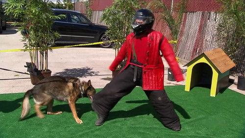 MythBusters Season 9 Episode 18 - Drain Disaster