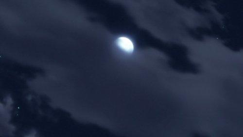 undefined Season 20 Episode 492 - Shikamaru's Story, A Cloud Drifting in the Silent Dark, Part 4: Cloud of Suspicion