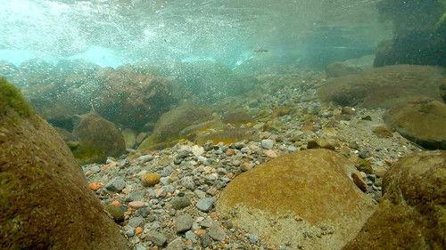 Wild Hokkaido! Season 4 Episode 10 - Early Summer in Tokachi River