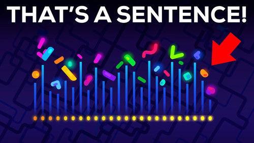 Kurzgesagt - In a Nutshell Season 11 Episode 1 - The Most Complex Language in the World