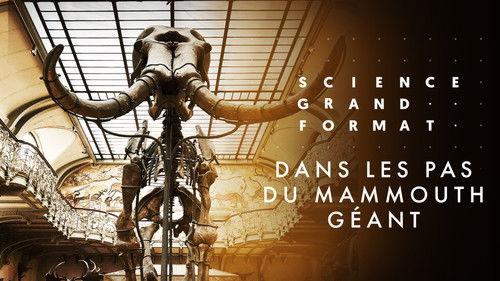 Science grand format Season 8 Episode 5 - Episode 5