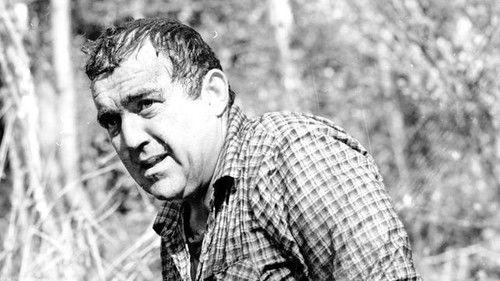 Background image for Der Mann im Baum