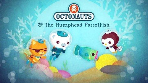 Octonauts Season 2 Episode 21 - The Humphead Parrotfish