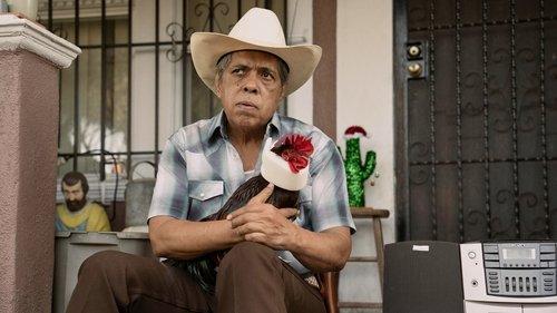 This Fool Season 2 Episode 1 - The Rooster