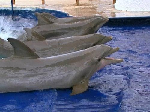 A Shot at Love with Tila Tequila Season 1 Episode 9 - Three's A Crowd